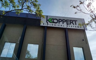 Koppert passa a ser membro de organização que promove a produção, processamento e comercialização responsável da soja no mundo