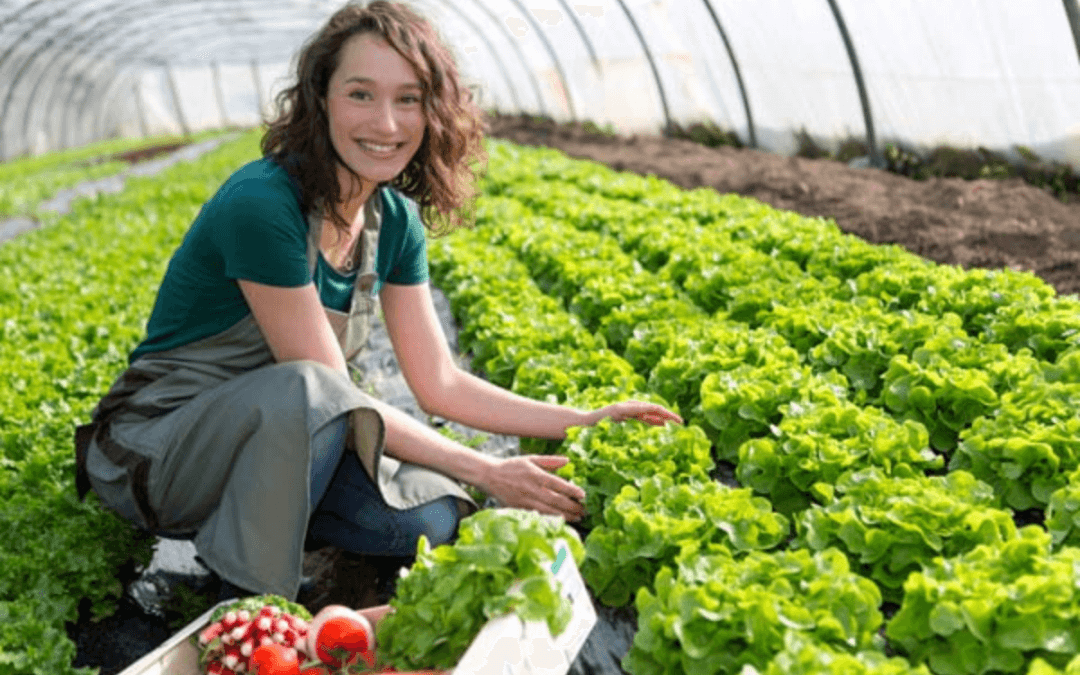Confira o relatório completo da pesquisa que traça o perfil da mulher que trabalha no Agtech Valley (Vale do Piracicaba)