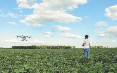 Liberação de macrobiológicos via drone gera maior rentabilidade ao produtor