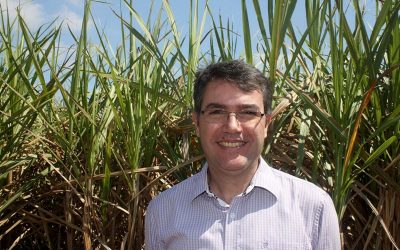 Trichoderma tem ação nematicida, fungicida e promotora de crescimento em canaviais