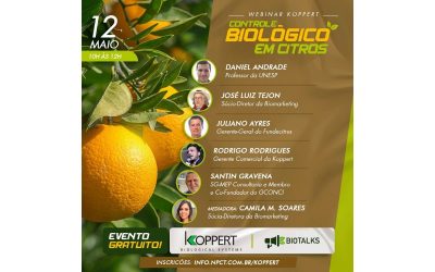 Webinar traz especialistas em controle biológico em citros