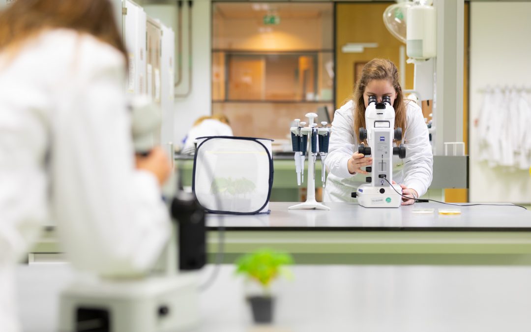 Com maior demanda por produtos sustentáveis, Koppert deve crescer 40% em 2020