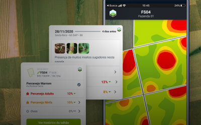 Manejo integrado de pragas pode gerar economia de até R$ 125/ha na cultura da soja