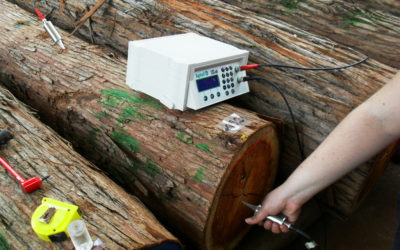 Startup desenvolve equipamento com tecnologia nacional para avaliação de árvores e madeira