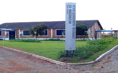 Incubadora tecnológica da Esalq chega aos 15 anos como protagonista do movimento agtech brasileiro