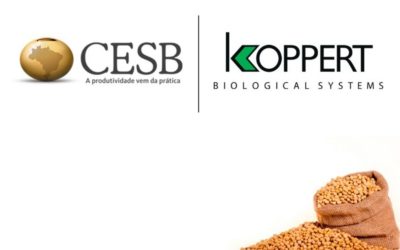 Koppert é a nova parceria do Comitê Estratégico Soja Brasil (CESB)