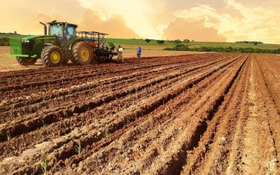 Startup realiza o plantio 20 milhões de mudas pré-brotadas de cana na safra 2021/22