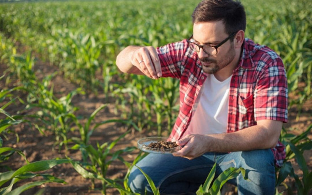Análise genética do solo orienta posicionamento de produtos biológicos