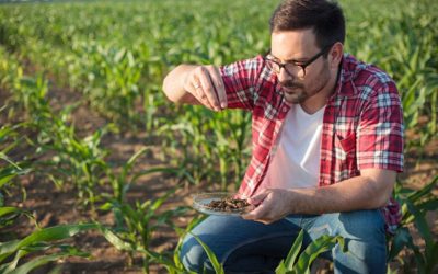 Análise genética do solo orienta posicionamento de produtos biológicos