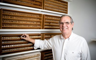 Live aborda as perspectivas do controle biológico no Brasil