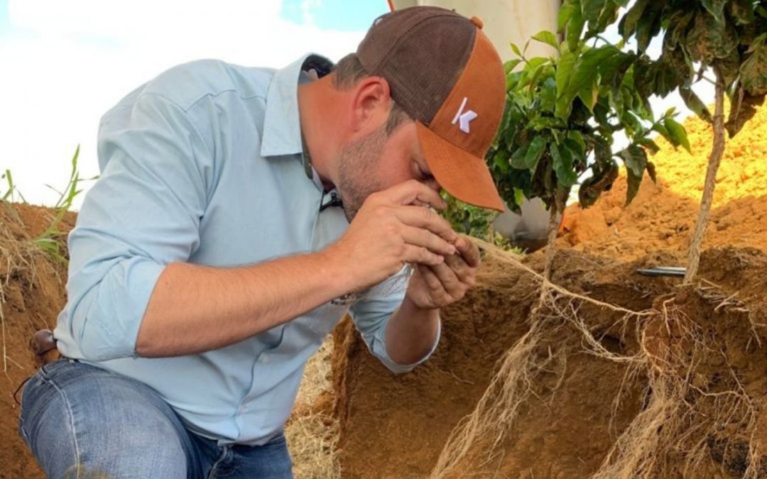 Manejo biológico favorece a produção de café especiais e certificados