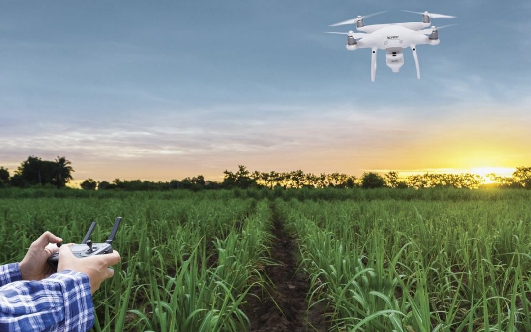 Koppert faz parte da Bonsucro, plataforma global de sustentabilidade da cadeia da cana-de-açúcar