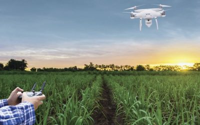 Koppert faz parte da Bonsucro, plataforma global de sustentabilidade da cadeia da cana-de-açúcar