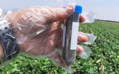 Maior projeto de mapeamento genético do solo brasileiro conta com investimentos de R$ 29 milhões