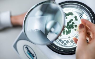 Sistema integrado de manejo biológico oferece pacote tecnológico mais eficiente e rentável aos produtores