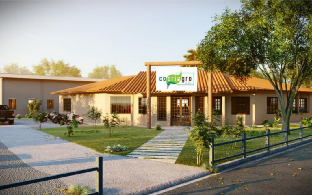 Primeiro hub de inovação do ecossistema agro de Londrina (PR) já reúne 25 startups