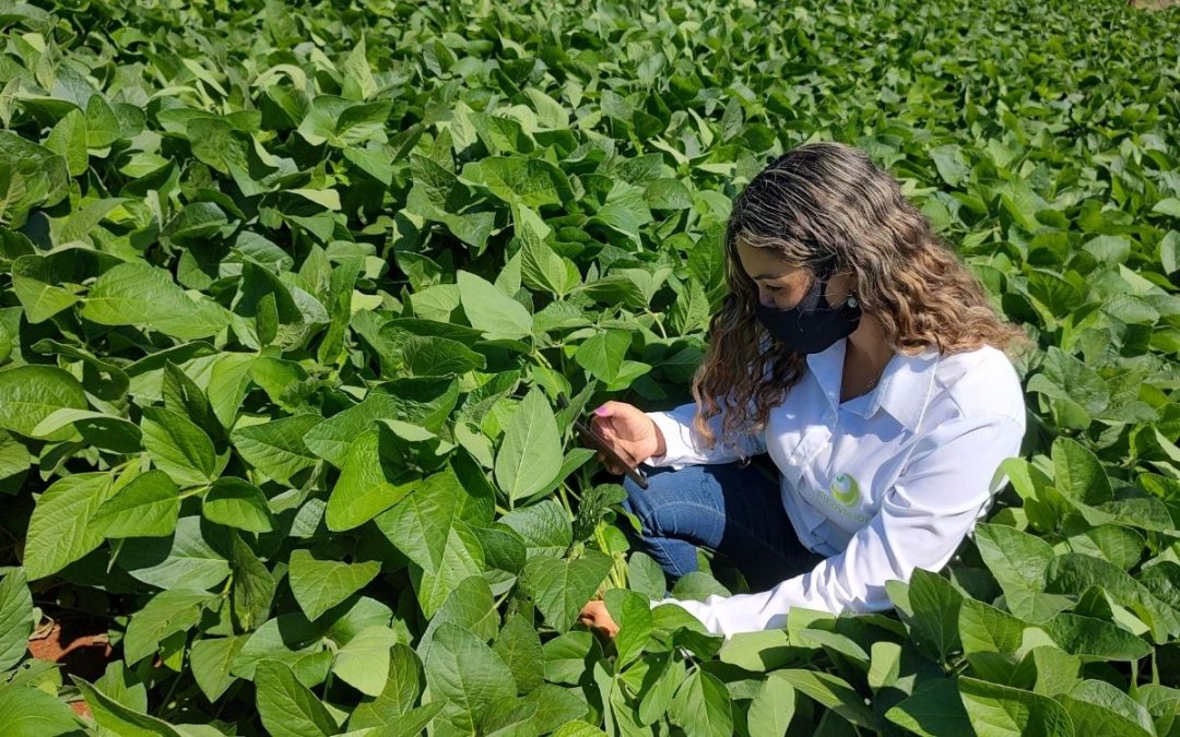 Smart Farm é vitrine tecnológica para sete agtechs