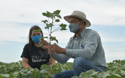 Crise de oferta de insumos agrícolas evidencia importância da agricultura de precisão e digital