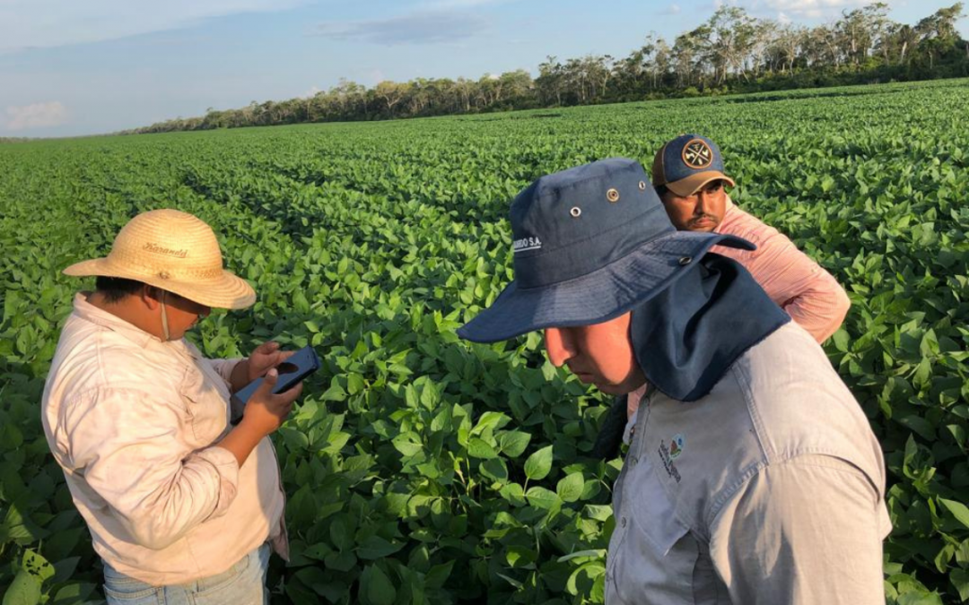 Tecnologia de startup brasileira é utilizada por produtores da Bolívia e Paraguai
