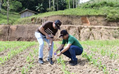 Análise genética dos micro-organismos do solo avalia capacidade de uma lavoura de fixar carbono e nitrogênio