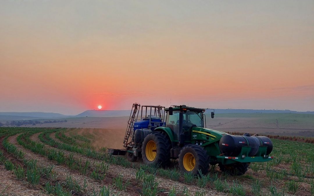 Startup produz implemento inédito que reduz em até 40% os custos de tratos da cana soca