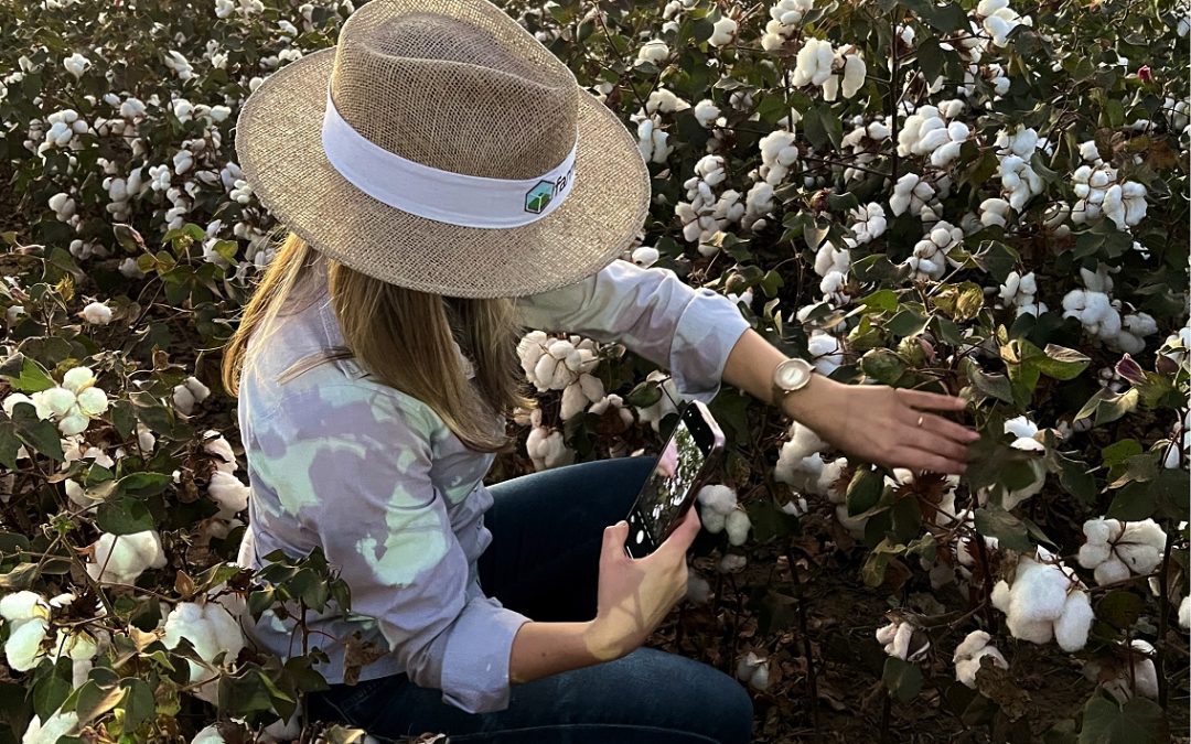 Manejo de pragas de precisão gera economia média de 33% na aplicação de pesticidas