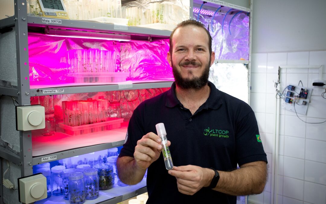 Venture builder WBGI investe cerca de R$ 1 milhão em duas startups de clonagem e propagação de mudas