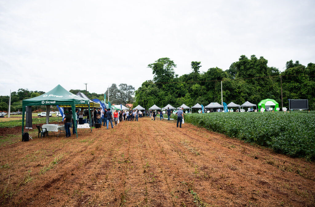 Primeira Smart Farm do Brasil a integrar tecnologias de startups, empresas, cooperativas e instituto de pesquisa apresenta resultados em Dia de Campo