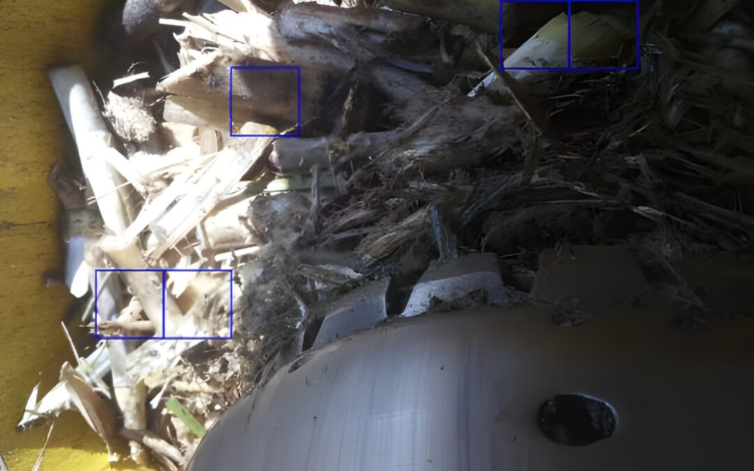 Agtech desenvolve sensor de impurezas vegetais que consegue analisar até 95% da cana-de-açúcar que chega na usina