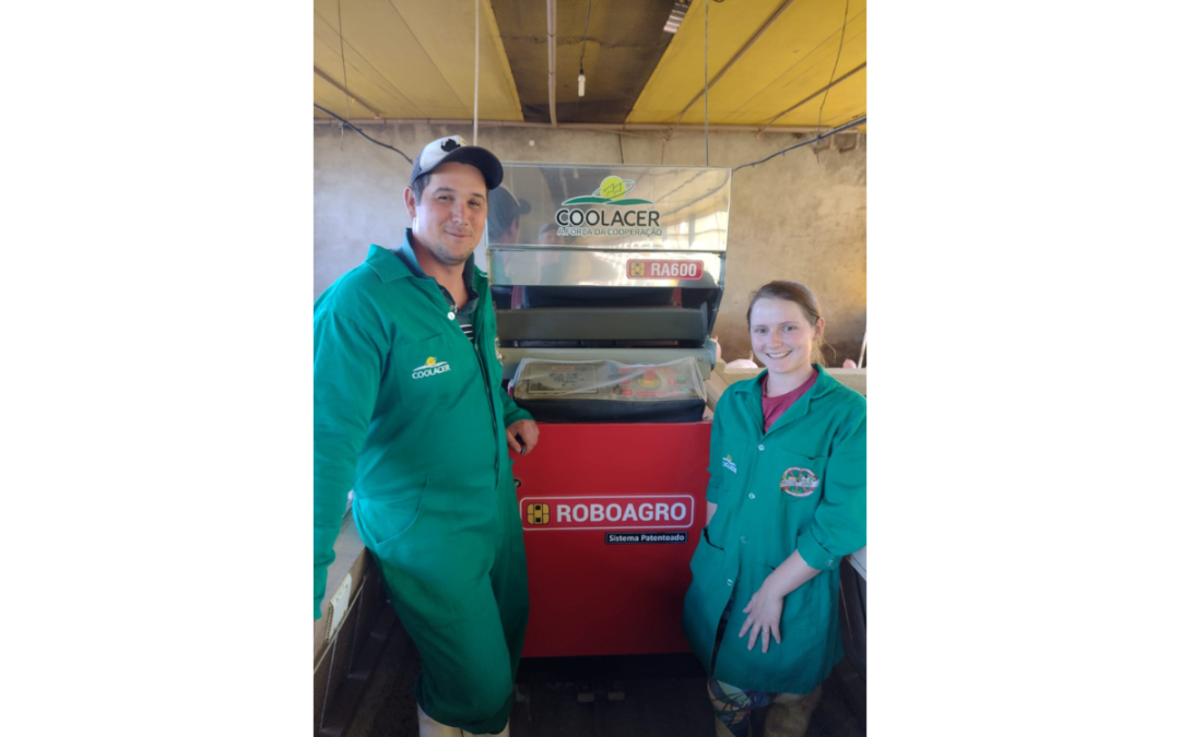 Tecnologia permite que suinocultores familiares permaneçam no campo