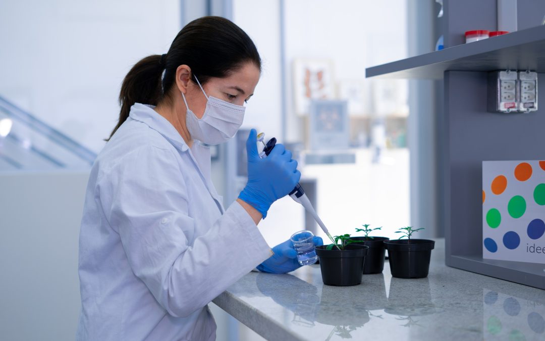 Startups de insumos biológicos para agricultura estão em evidência no mercado agro