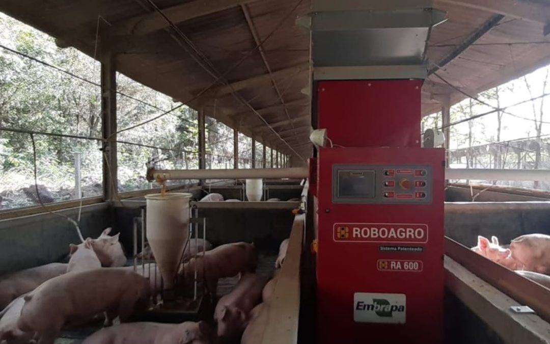 Embrapa demonstra que utilizar o sistema de alimentação controlada com robôs gera economia de 20,7 t de ração/ano ou R$ 41,4 mil/ano por produtor