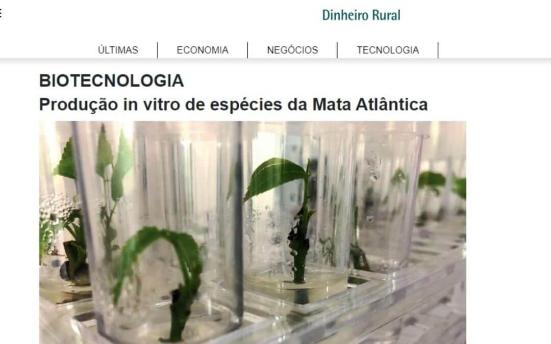 Dinheiro Rural: Biotecnologia –  Produção in vitro de espécies da Mata Atlântica