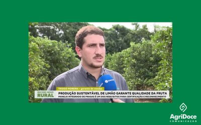 Record News: Produção sustentável de limão garante qualidade da fruta