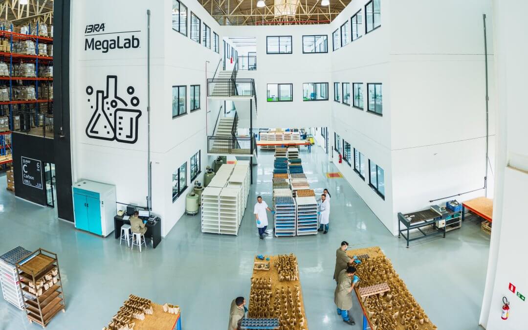 IBRA Megalab e CESB desenvolvem método de diagnóstico nutricional da soja