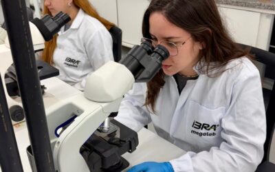 Nova tecnologia com inteligência artificial faz diagnósticos mais rápidos e precisos de nematoides na cultura da soja