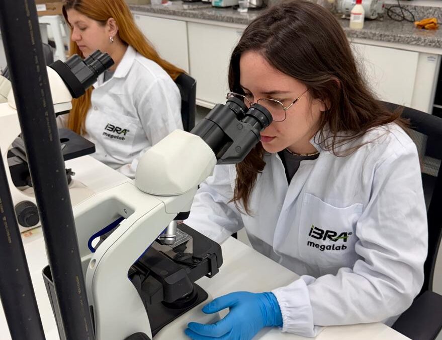 Nova tecnologia com inteligência artificial faz diagnósticos mais rápidos e precisos de nematoides na cultura da soja