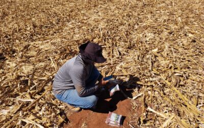 Brasil tem déficit de 8 milhões de análises de solo por ano, indica IBRA megalab