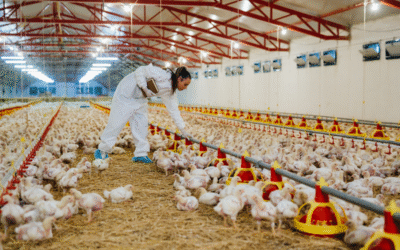BioSummit 2026 traz painel inédito sobre controle biológico para uso veterinário e produção animal