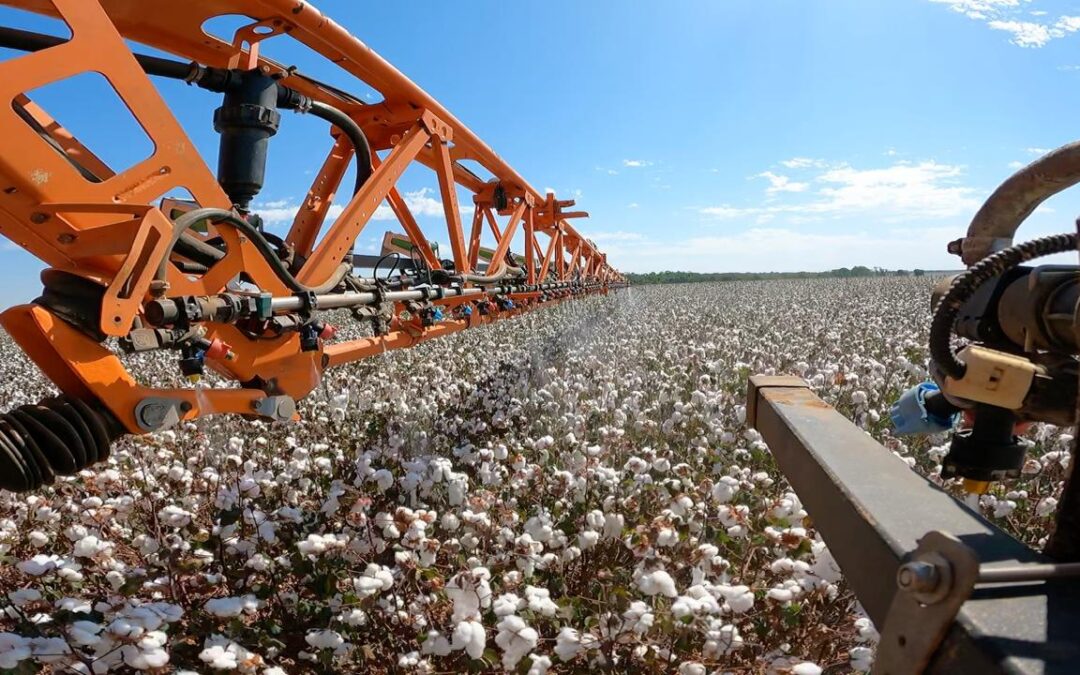Bicos pulverizadores com sensor de clorofila aplicam maturadores de crescimento no algodão de acordo com o tamanho e necessidade de cada planta