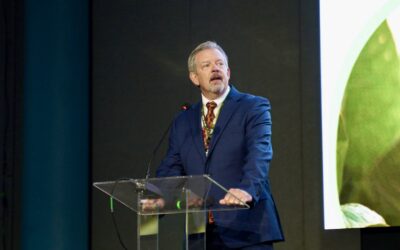 Agricultura brasileira avança em tecnologia, mas uso de dados ainda é desafio