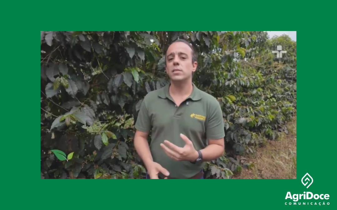 TV Cultura: A revolução debaixo da terra: o novo caminho do café mineiro